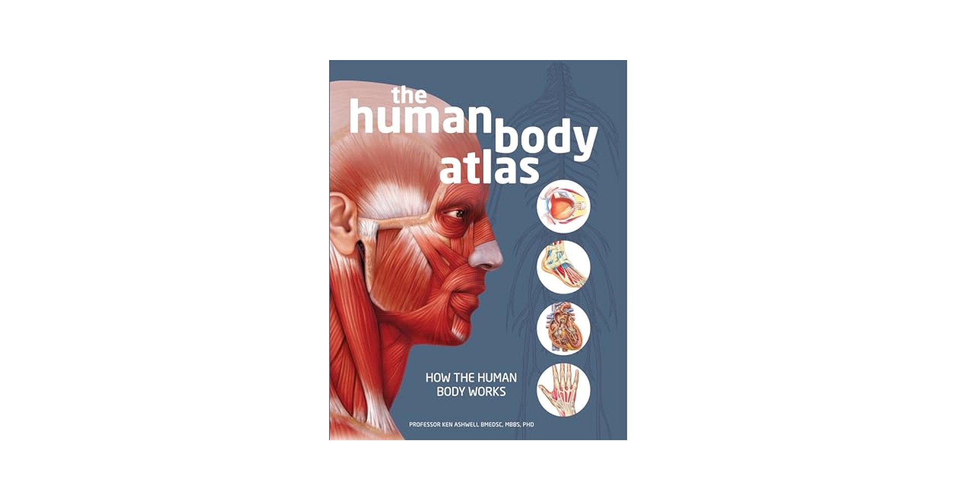 洋書 Body Atlas (Vietnamese book) 洋書 Body Atlas (Vietnamese book) Atlas of Human Anatomy